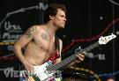 Flea